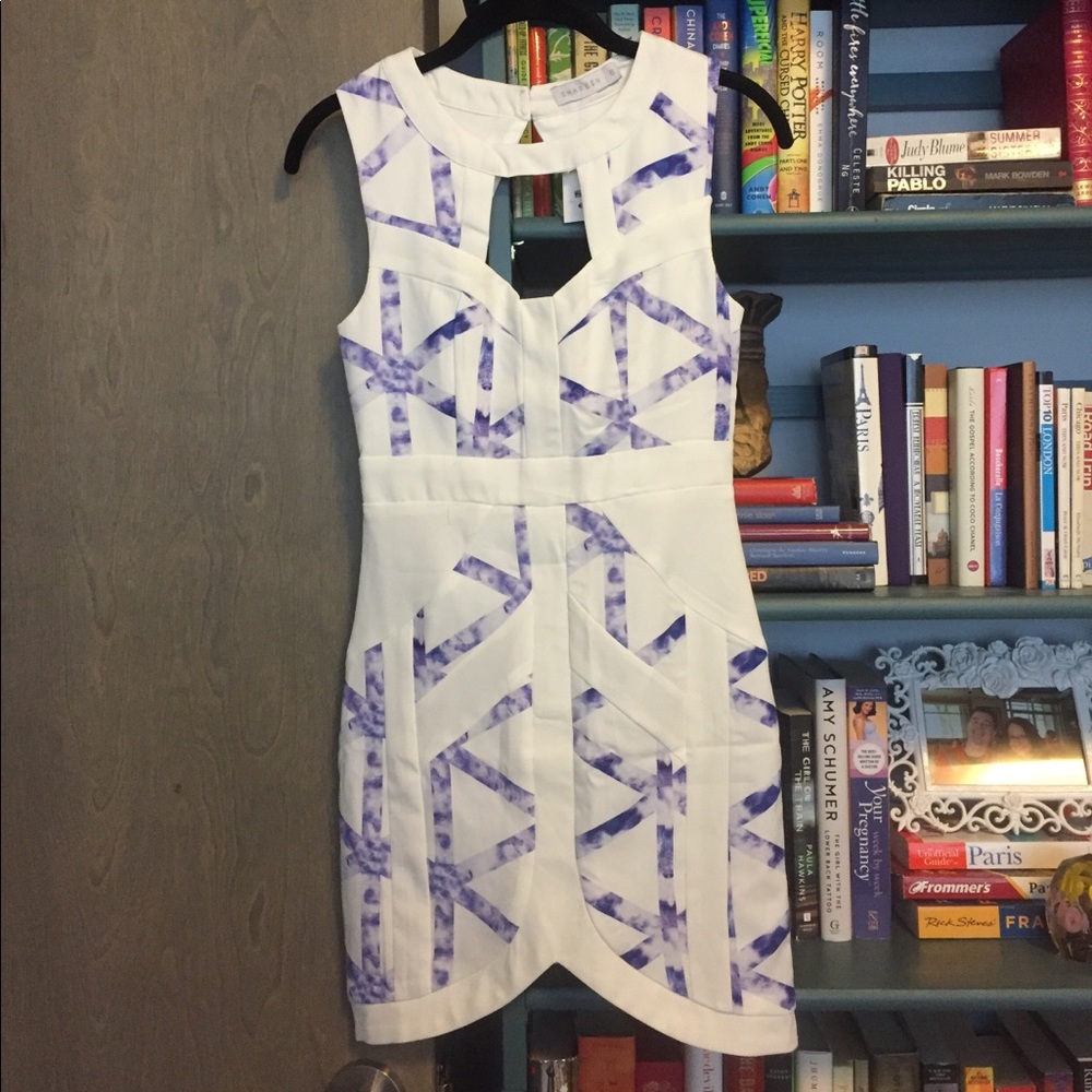 Shareen Cutout Dress in white and purple size 2